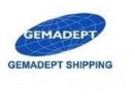 GEMADEPT CORPORATION